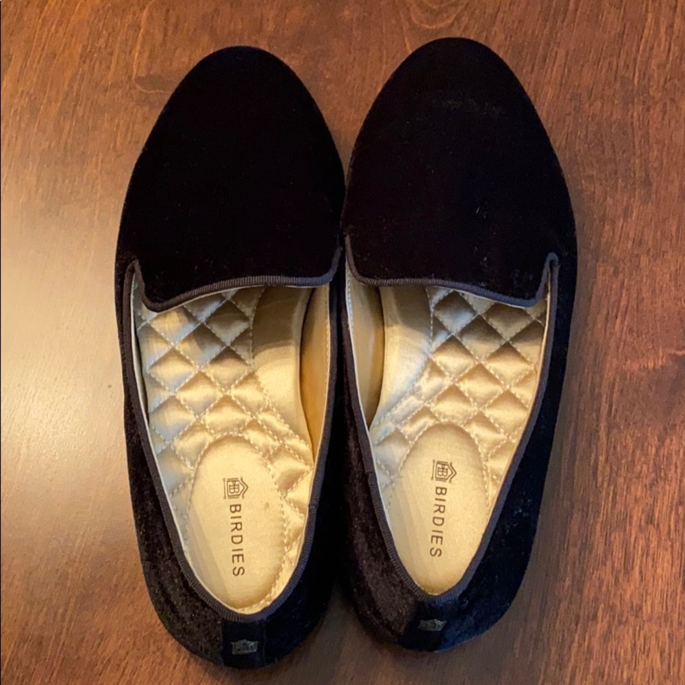 Birdies The Starling